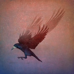 Bird Kingdom, 2018 (fotokunst) av Johan Lilja