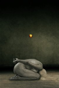 Skjul meg selv, 2013 (bildemanipulering) av Johan Lilja