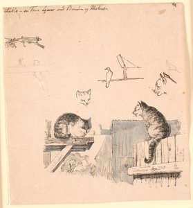 De to kattene. F.o. studier av kattehoder, en fugl, et katteøre og bjelkearbeid. Illustrasjon til Kaalunds "Fabler for barn". Se kommentar fra arkkatalog. av Johan Thomas Lundbye