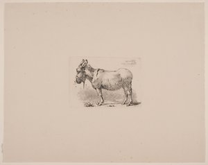 Et esel, plaget av fluer av Johan Thomas Lundbye