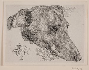Hundehode, Snip av Johan Thomas Lundbye