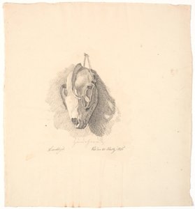 Hundekranium av Johan Thomas Lundbye
