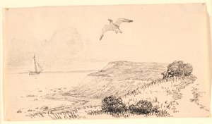 Måken. Illustrasjon til Kaalunds "Fabler for barn". Se kommentar fra arkkatalog. av Johan Thomas Lundbye
