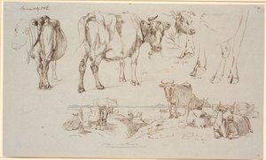 Studieblad fra Vognserup. Ovenfor studier av kyr, f.n. landskap med stående og liggende kyr av Johan Thomas Lundbye