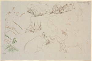 Studieblad fra Vognserup. Ulike studier av griser. En studie av et par hestehover. En studie av et hundehode, og studie av gress av Johan Thomas Lundbye