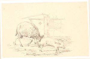 Væren og grisen. Illustrasjon til Kaalunds "Fabler for barn". Se kommentar fra arkkatalog. av Johan Thomas Lundbye