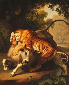 En tiger angriper en okse, 1785 av Johan Wenzel Peter