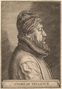 Andreas Velleius (Anders Sørensen Vedel)