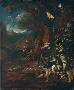 Landskap med krypdyr og insekter (I) av Johann Adalbert Angermayer