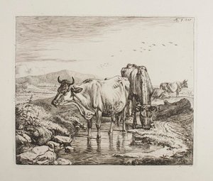  av Johann Adam Klein