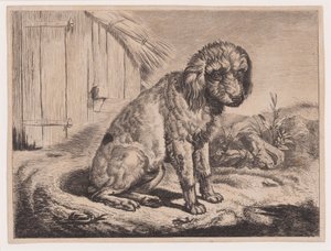 Sittende hund av Johann Adam Klein