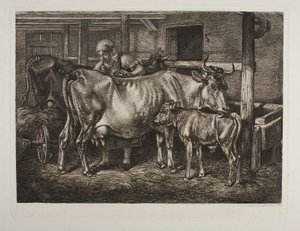  av Johann Adam Klein