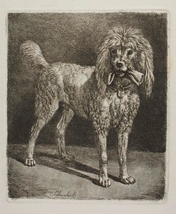  av Johann Adam Klein