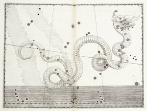 Constellation of Serpens Head and Serpens Tail, ca. 1603