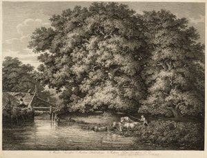 En bonde kjører storfeene sine i vannet av Johann Christian Reinhart
