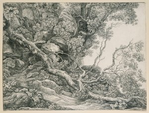 Trær i en fjellskråning av Johann Christian Reinhart