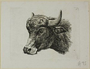 Buffalo Head Facing Venstre, fra Die Zweite Thier Folge av Johann Christian Reinhart