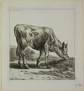 Kalvefôring, fra Die Zweite Thierfolge av Johann Christian Reinhart