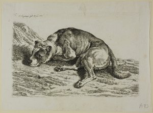 Dog Laying Down, fra fra The Second Succession of the Thief av Johann Christian Reinhart