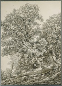 Stor trestudie av Johann Christian Reinhart