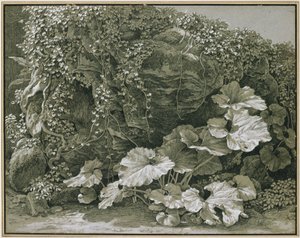 Storbladede planter ved en klippegrotte dekket av eføy av Johann Christian Reinhart