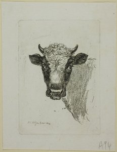 Head of a Young Bull, from Die Zweite Thierfolge   1297741   no       norwegian Successfully Translated  Original: Zaal in Frascati te Amsterdam 1855 Souvenir den bezoekers van Frascati aangeboden. Amsterdam 9-24 september 1855 (title on object) Translat:  av Johann Christian Reinhart