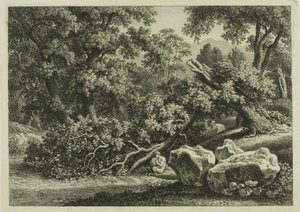 Landskap med panorering på fløyte av Johann Christian Reinhart