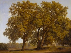  av Johann Christian Reinhart