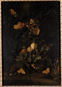 Blomster med sommerfugler og padde (olje på eiketre) av Johann Christian Thomas Winck