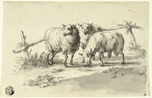 Sau av Johann Christoph Kimpfel