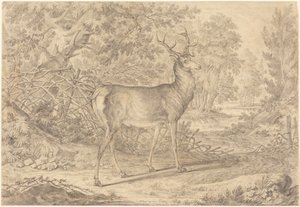  av Johann Elias Ridinger