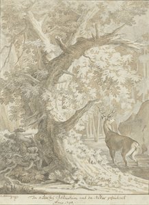 Jeger fortøyer på en kronhjort i vannet under et gammelt tre av Johann Elias Ridinger
