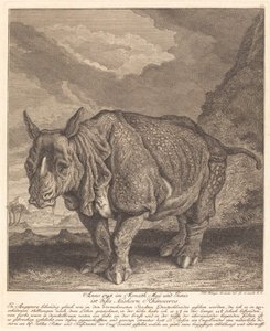 Neshorn av Johann Elias Ridinger