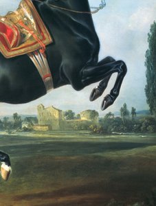 En svart hest som fremfører Courbette (detalj av 65652)