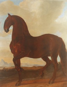 The Bay Stallion ved Eisgruber Stud
