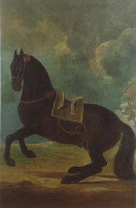 The Bay Stallion med spansk sal