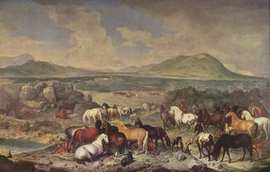 The Imperial Stud med Lipizzaner-hester