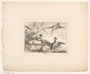 Landskap med seks ender Fugler i landskap (serietittel) av Johann Georg Hertel (I) (possibly)
