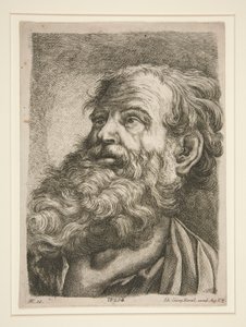 Mannlig hode (for en apostel?) av Johann Georg Hertel