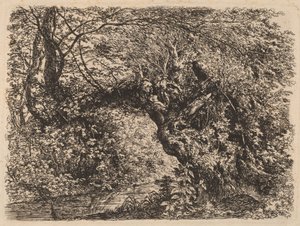 En gammel pil ved en bekk av Johann Georg von Dillis