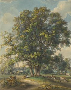 Og i Arcadia I, 1790-1800.