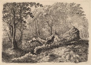 Muldrende trestamme, 1794.