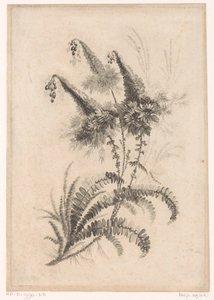 Puntige blomster Samling av nye smaksblomster; For Manufacture des Etoffes de Perse (serietittel)