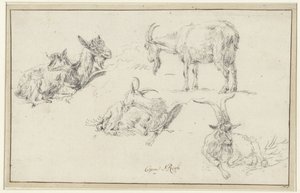 Studier av en geit av Johann Heinrich Roos (possibly)