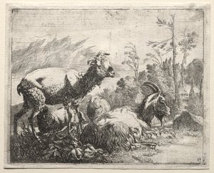 Geiter av Johann Heinrich Roos