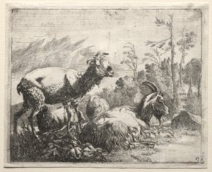Geiter, 1665. av Johann Heinrich Roos