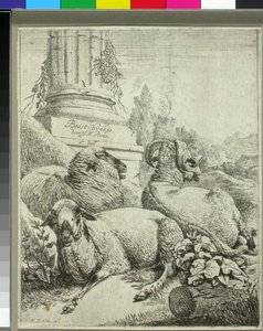  av Johann Heinrich Roos