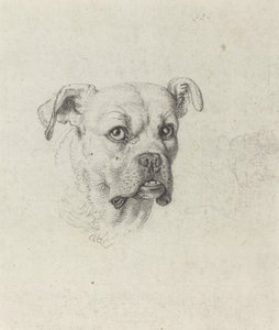 En bokser av Johann Heinrich Wilhelm Tischbein