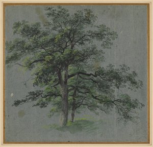 Two Trees recto Tree Studies verso, første halvdel av 1800-tallet. av Johann Jacob Dorner