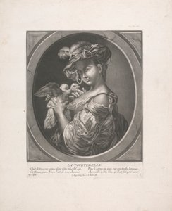Duen av Johann Jacobus Haid